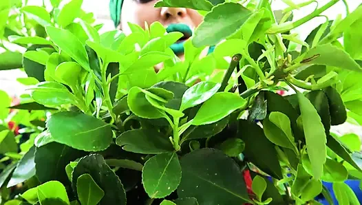 Поцелуй зеленые губы яда Ivy