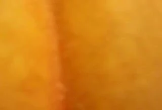 anal with bbw girlfriend bad camera work sry