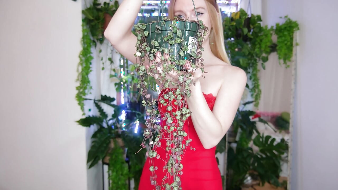 The Plants I Got For Christmas