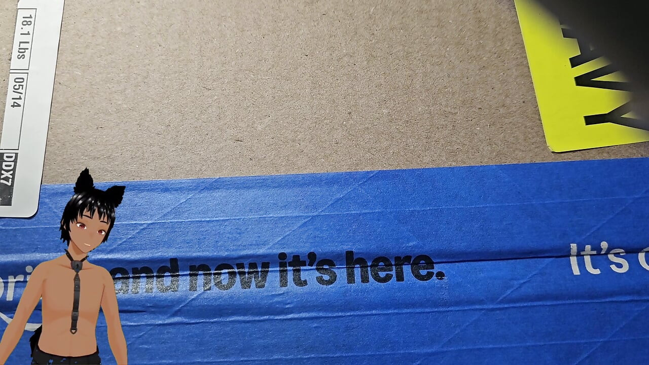Should you put your dick in it!? - Got a new toy and it is heavy