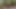 Белая девушка с большой шикарной задницей, голодная по большому черному члену