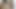 TUSHY THE DEFINITIVE RILEY REID COLLECTION
