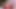 Die asiatische Mutter Kianna Dior lutscht einen langen Penis auf den Knien 3