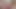 cumshot with shower head