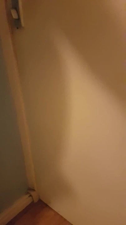 just a quick look