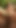 Bir busty latina ile olağanüstü bir anal ırklararası ve bir | Klip 1