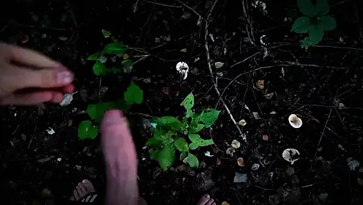 Twink took the train from the city to the forest to jerk off his cock among the mushrooms and trees