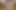 Goth Girl Amazing Close-up Penis Massage XXX