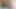 I cummed in my wife's pussy look how much cum!
