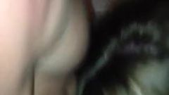 Hotwife sucking another mans cock