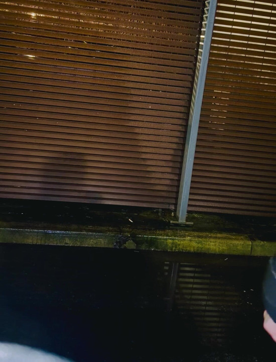 Leon'un herkesin içinde tek fit yarak halkası takarak canavar yarağını çekmesini ve patronun kim olduğunu herkese göstermesini izleyin