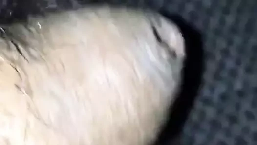 Benim horoz ile oynarken etrafında sürüş!