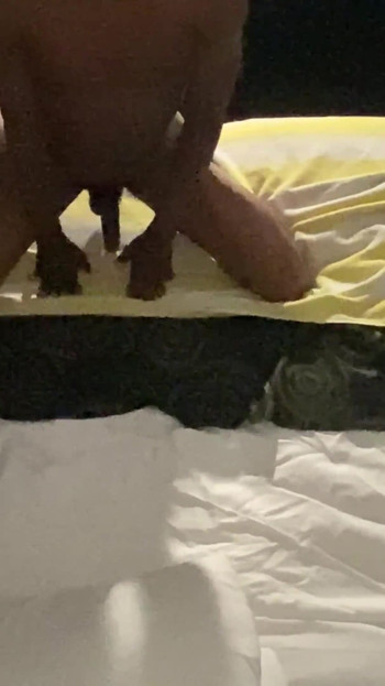 Pustolovine crnih uzgajivača 183