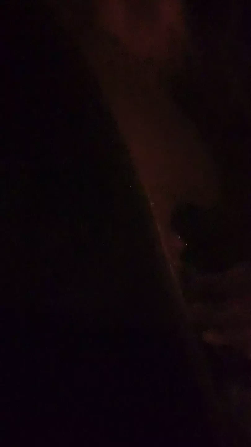 Ensam i skogen