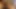 Ateşli üvey kardeşinin çifte oral seks rüyası gerçekleşti. ağızda büyük cumshot