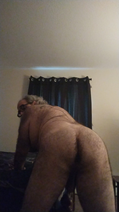 Polar bear needs something hard and deep