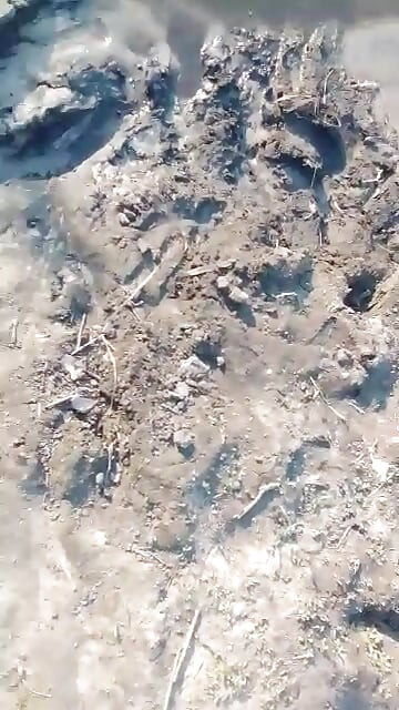 अफ्रीकी Amatuer बाहर दूध छिड़क रही है