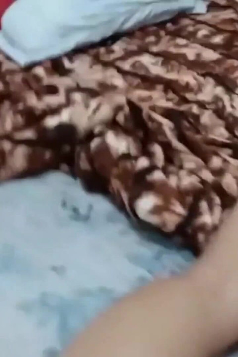 Sorvete de porco para namorada safada