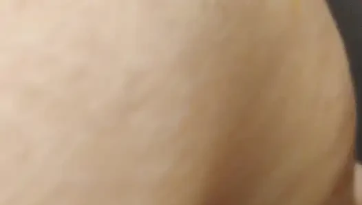Sesi coli.