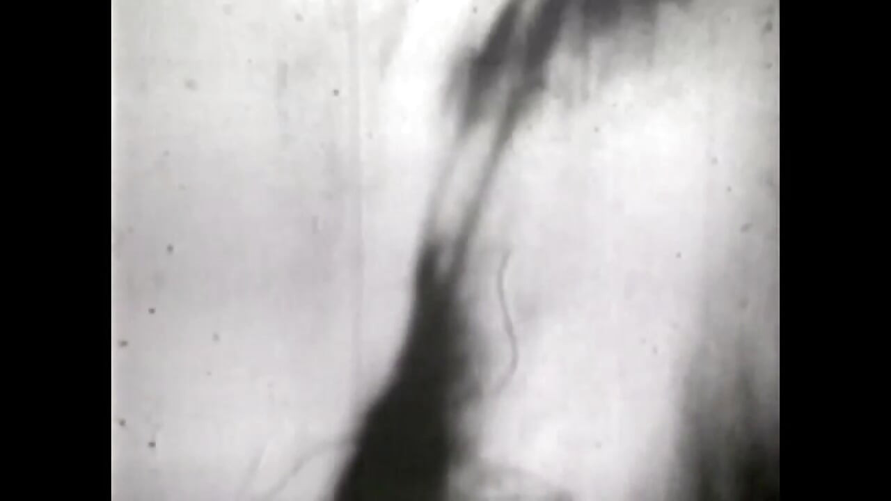 Seks se nikad ne menja