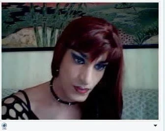 Por webcam