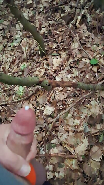 Pressure released in the forest