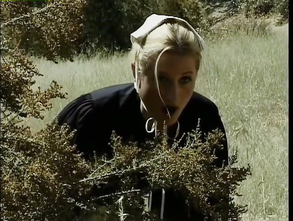 Homey in the Haystack, Part 1