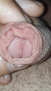 Pratinjau video