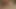 アナルプラグでミルフのアナルとチンポが膣で突かれる