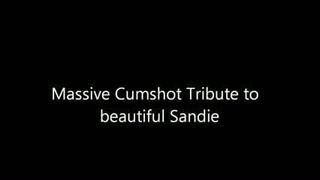 Enorme omaggio di sborrata alla bellissima Sandie