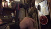 Pregled videozapisa