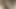 Clitoris and G-spot masturbation on all fours 1/2　