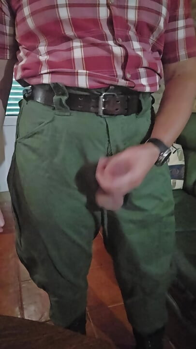 Wanking in and out in my jodhpurs