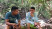 Pratinjau video