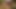 a tease for the ladies
