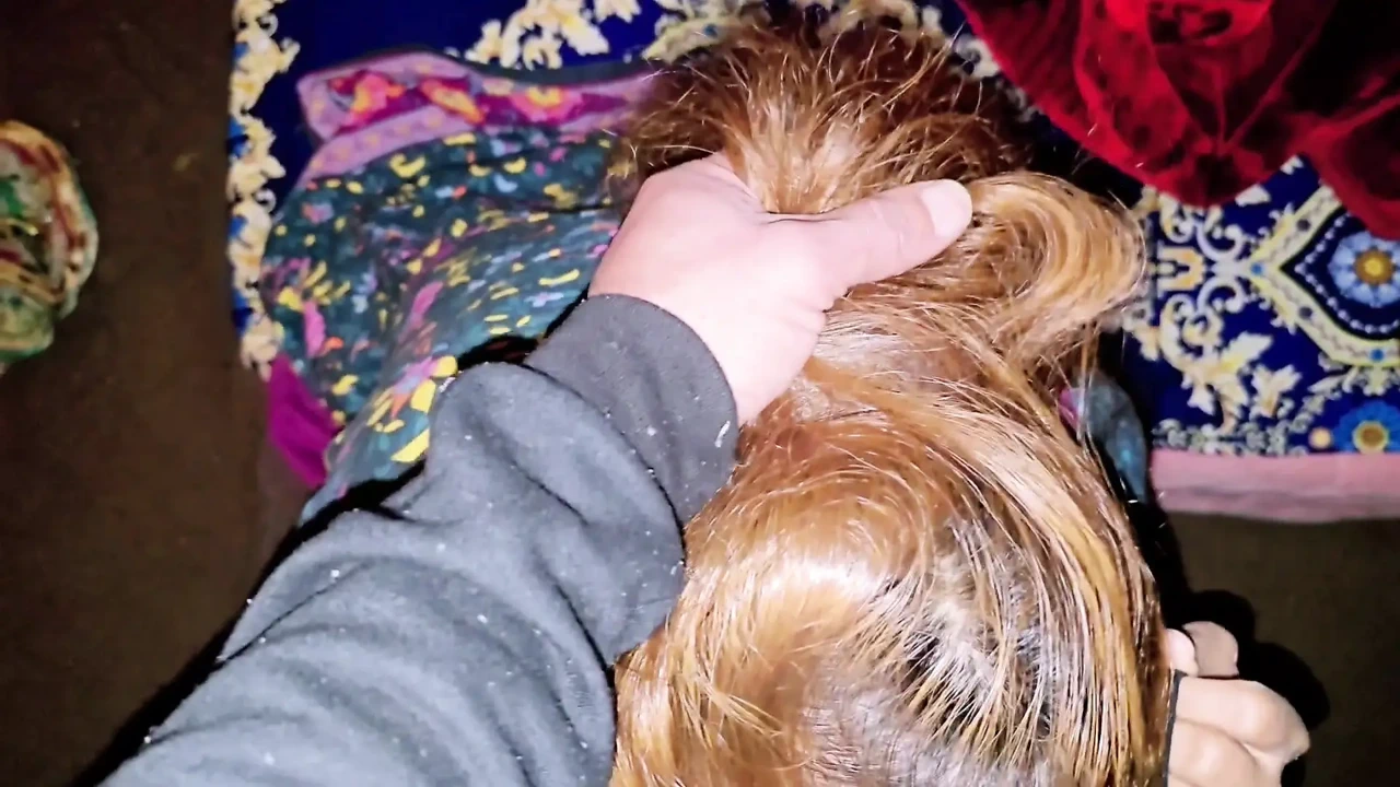 Desi Indian bhabi gives sloppy blowjob