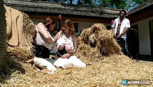 Büyük memeli binicilik akademisi