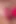 Hungry Sucker Make My Pussy Pulsating in Multiple Orgasms
