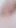 Daisy Fox ve Sahara Skye ve Chanel Camryn ve Maria Anjel ve Reyna Delacruz ve Bailey Base