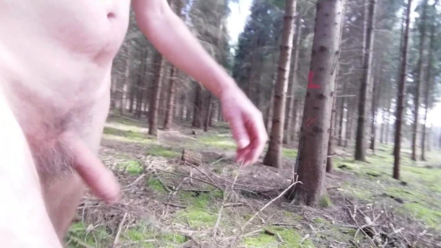 In a quiet wood