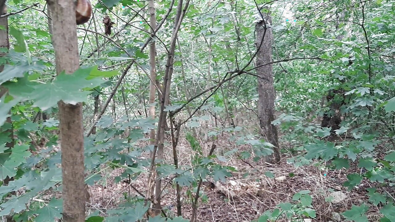 Risky lesbian masturbation in the forest
