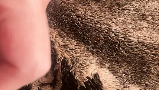 urethral sounding close up