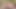 彼に駆け寄って、妊娠させてくれと懇願する