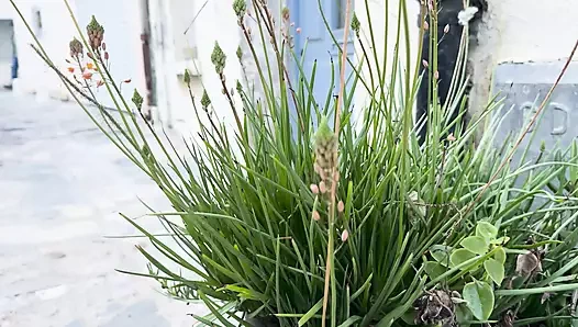 Когда Seilinah приглашает неизвестного