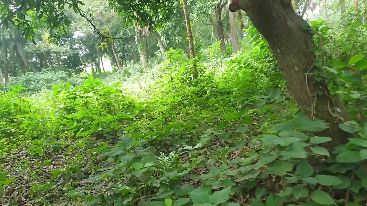 狠狠地操那个变性人