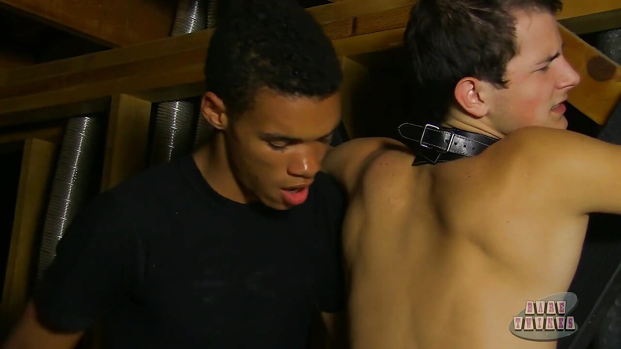 Attic bareback untuk jasper robinson