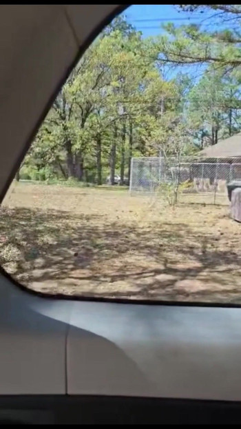 Must-see moment from "Car Pleasure: Outside Masturbation, Vibrator, and Inflatable Chair Orgasms"