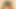 Indian desi  stepsister  fucked by young amateur stepbrother in doggy style full Hindi audio pov porn