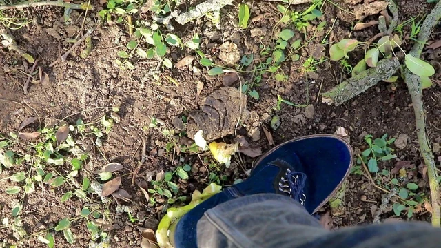 Heelcrush: fruits outdoor