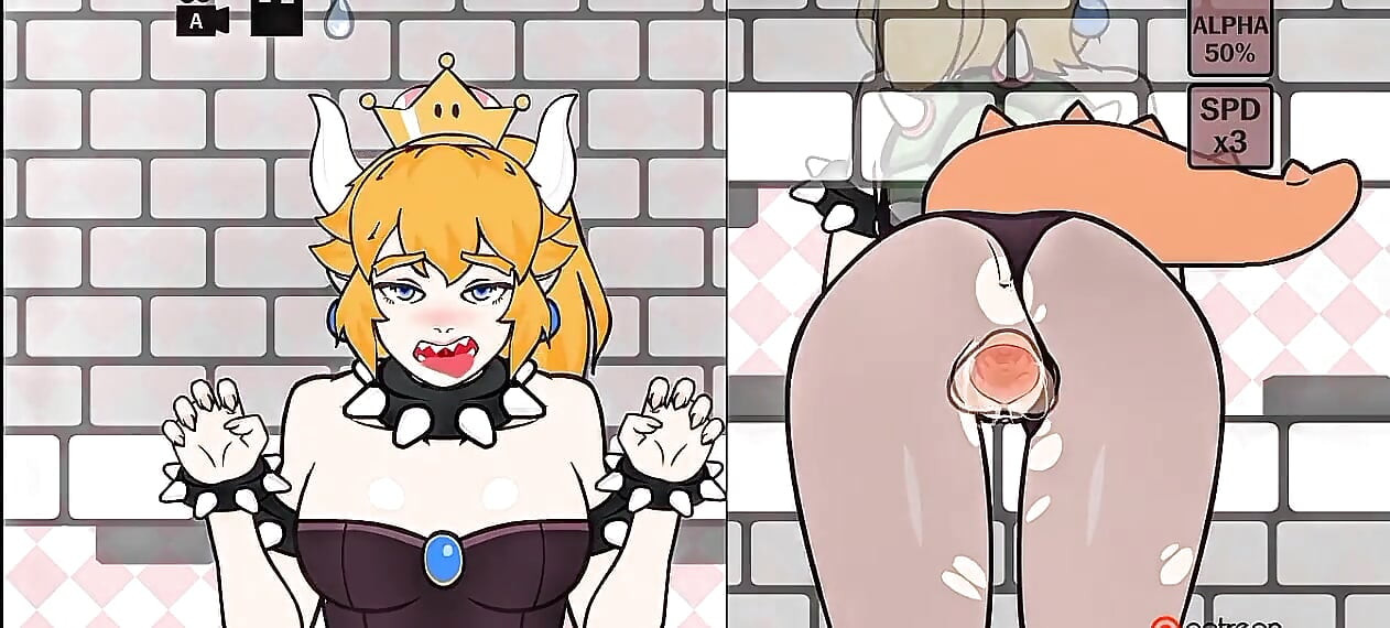 Ajude Bowser